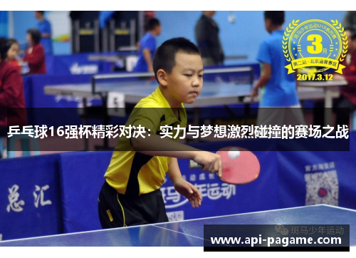 乒乓球16强杯精彩对决：实力与梦想激烈碰撞的赛场之战