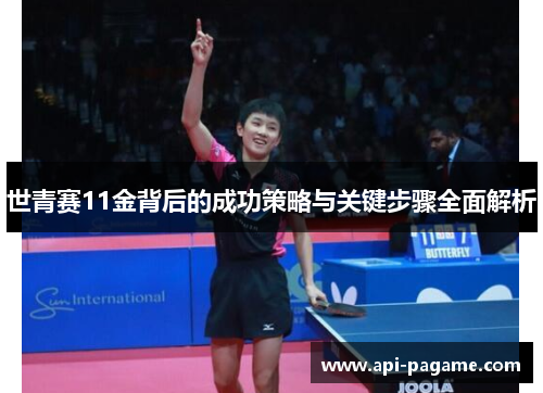 世青赛11金背后的成功策略与关键步骤全面解析