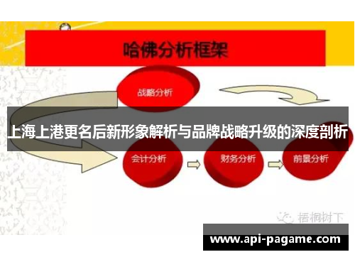 上海上港更名后新形象解析与品牌战略升级的深度剖析