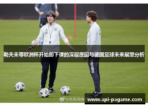 勒夫未等欧洲杯开始即下课的深层原因与德国足球未来展望分析