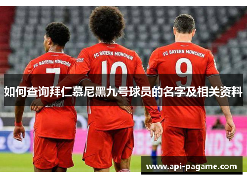 如何查询拜仁慕尼黑九号球员的名字及相关资料