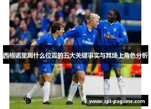 西格诺里踢什么位置的五大关键事实与其场上角色分析