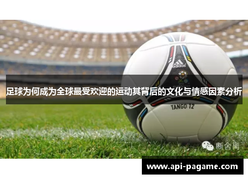 足球为何成为全球最受欢迎的运动其背后的文化与情感因素分析