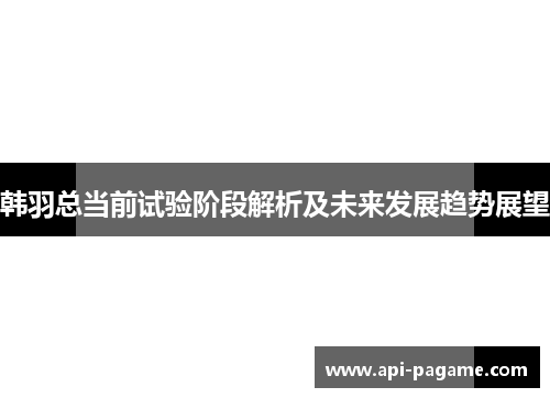 韩羽总当前试验阶段解析及未来发展趋势展望