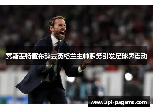 索斯盖特宣布辞去英格兰主帅职务引发足球界震动