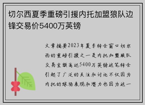 切尔西夏季重磅引援内托加盟狼队边锋交易价5400万英镑