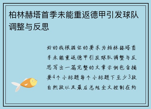 柏林赫塔首季未能重返德甲引发球队调整与反思