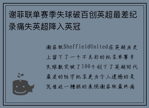 谢菲联单赛季失球破百创英超最差纪录痛失英超降入英冠